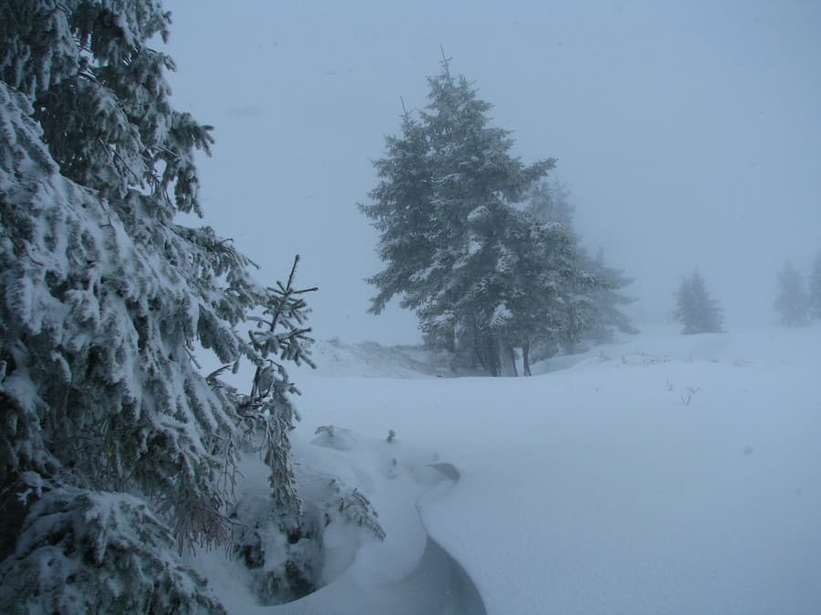 Image d'illustration pour Nos montagnes font le plein de neige 