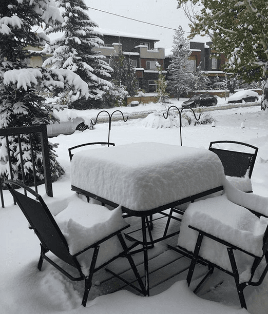 Image d'illustration pour Tempête hivernale historique entre Alberta et Montana