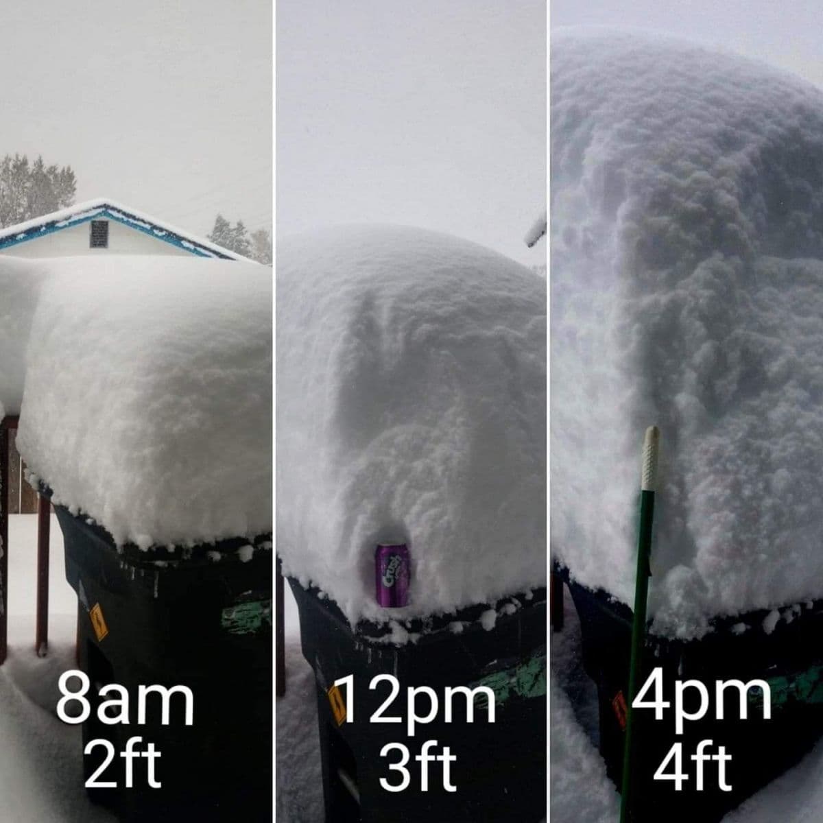 Image d'illustration pour Tempête hivernale historique entre Alberta et Montana