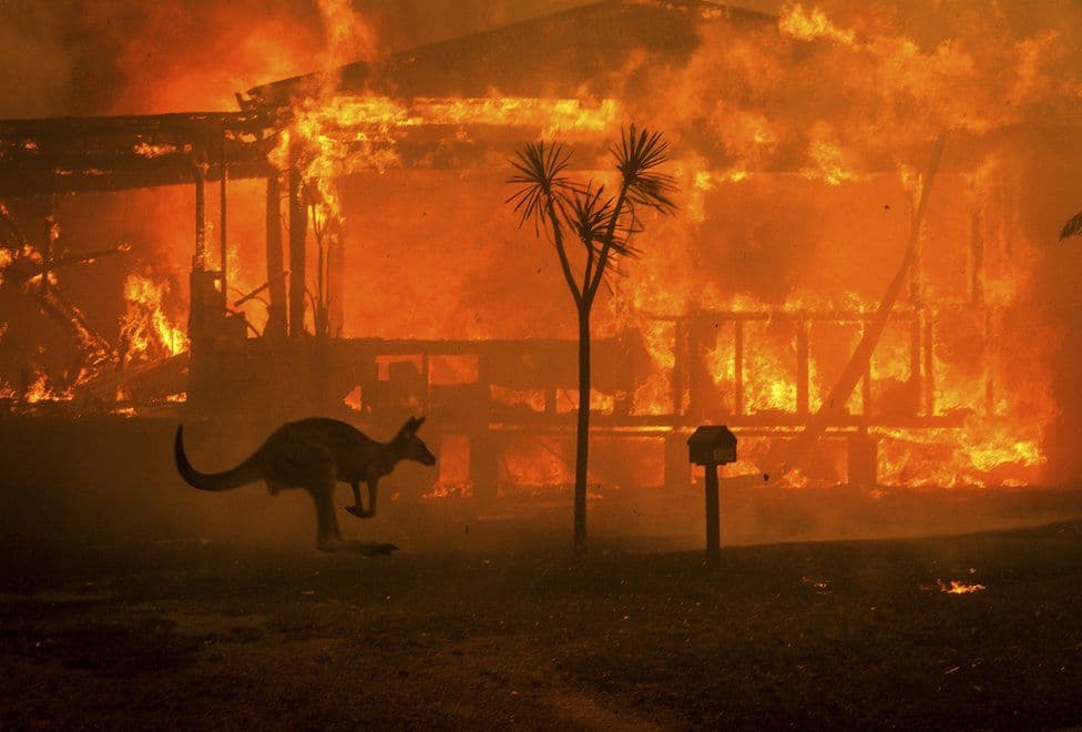 Image d'illustration pour Les incendies en Australie sont-ils liés au réchauffement climatique ? 