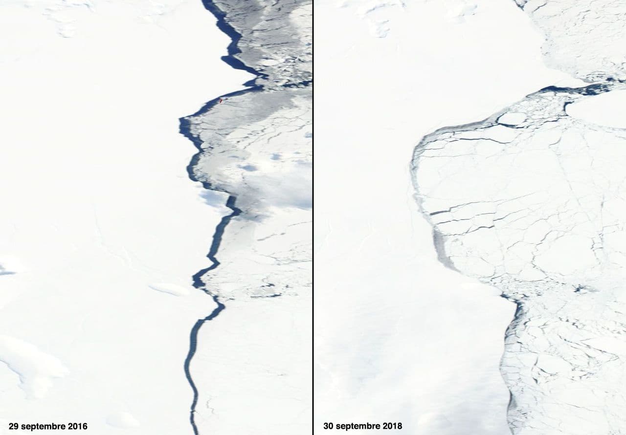 Image d'illustration pour Arctique et Antarctique : observation des pics et creux annuels