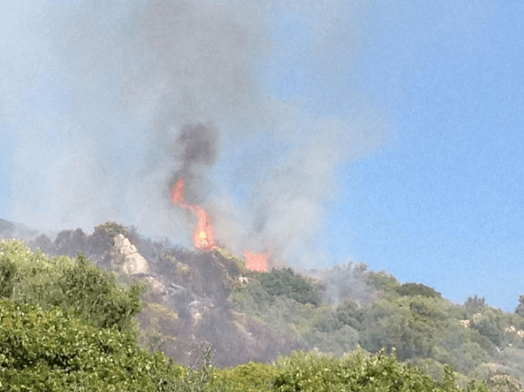 Image d'illustration pour Sirocco, forte chaleur et incendie en Corse