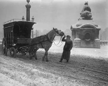 Image d'illustration pour Chronique des débuts novembre froids et neigeux