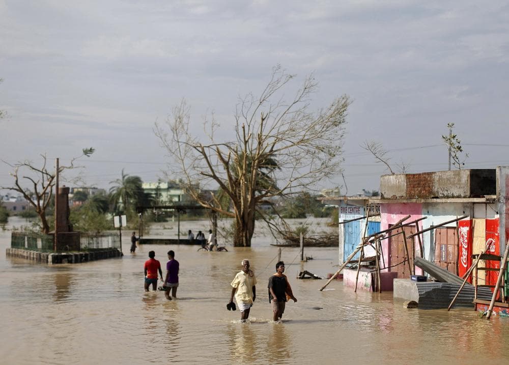 Image d'illustration pour Ex cyclone très intense Phailin (Inde)
