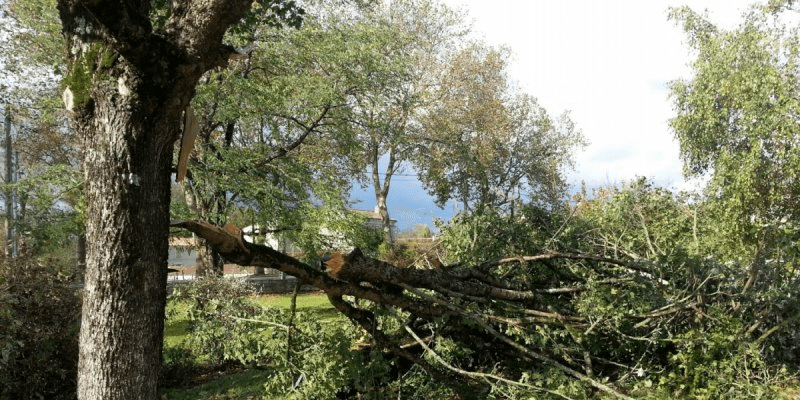 Image d'illustration pour Tornade, trombe et tuba sur la France