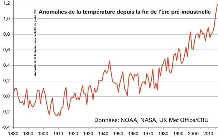 Image d'illustration pour Vers un record annuel de douceur en 2016 selon l'OMM