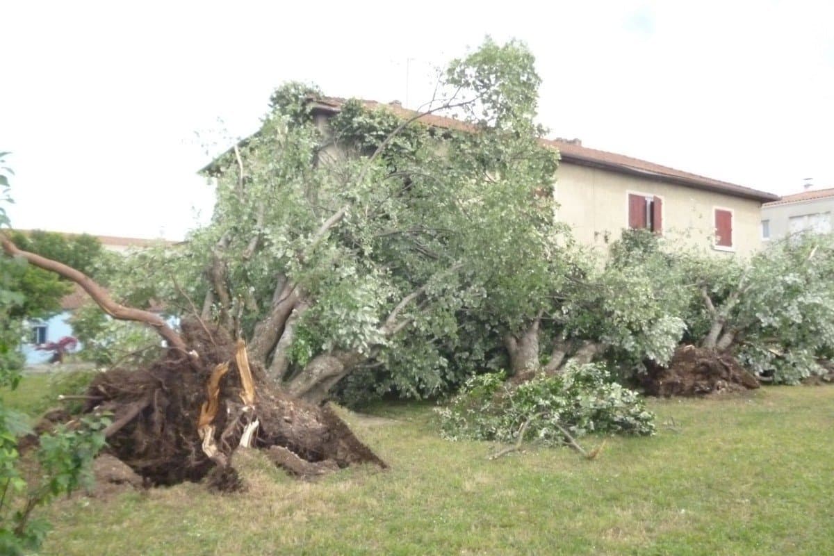 Image d'illustration pour Orage fort en Gironde et Poitou-Charentes - rafales et grêle