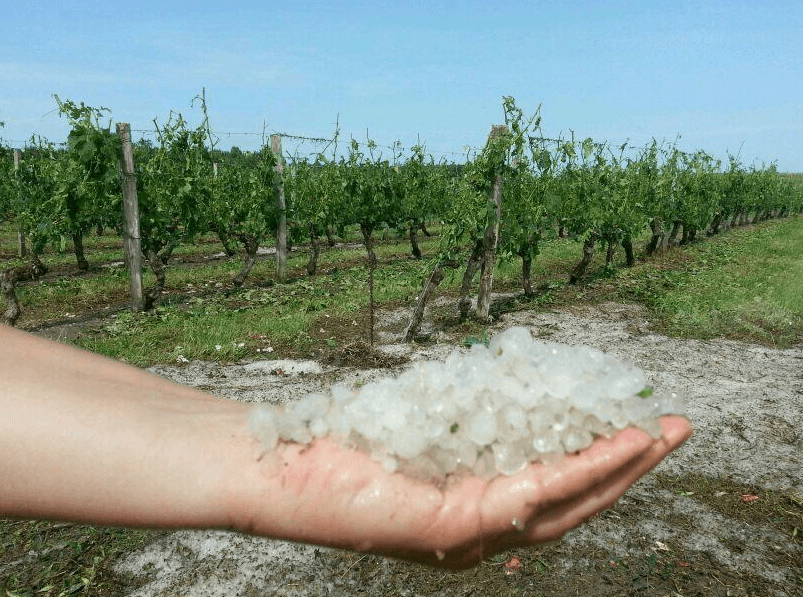 Image d'illustration pour Orage fort en Gironde et Poitou-Charentes - rafales et grêle