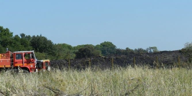 Image d'illustration pour Débroussailler pour éviter les feux et les incendies - Languedoc Roussillon