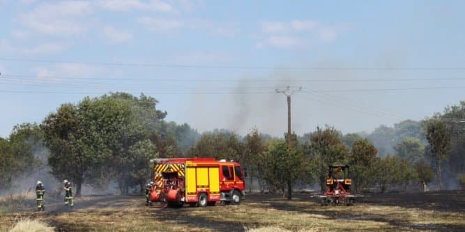 Image d'illustration pour Débroussailler pour éviter les feux et les incendies - Languedoc Roussillon