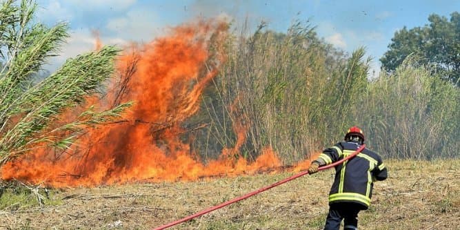 Image d'illustration pour Débroussailler pour éviter les feux et les incendies - Languedoc Roussillon