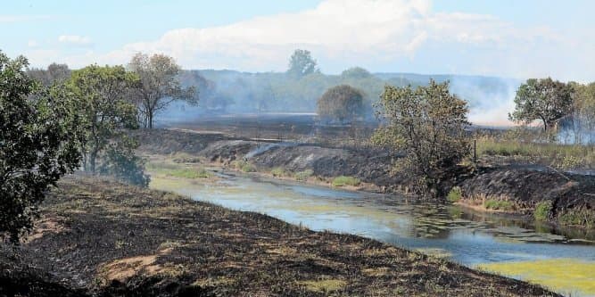 Image d'illustration pour Débroussailler pour éviter les feux et les incendies - Languedoc Roussillon