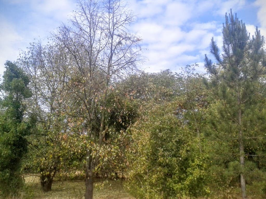 Image d'illustration pour Quelques gouttes à Paris qui ne changent rien à la sécheresse de surface