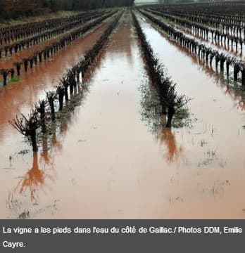 Image d'illustration pour Inondations majeures dans le Sud-Ouest du 24 janvier au 6 février