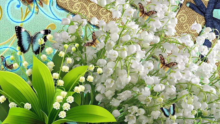 Image d'illustration pour Les influences d'un hiver tardif sur le muguet