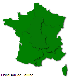 Image d'illustration pour La nature fleurit, les pollens se propagent
