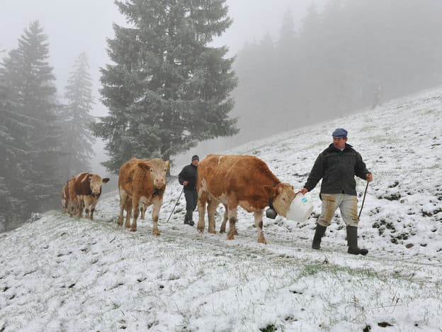 Image d'illustration pour Vosges, Jura et Alpes : première neige en moyenne montagne