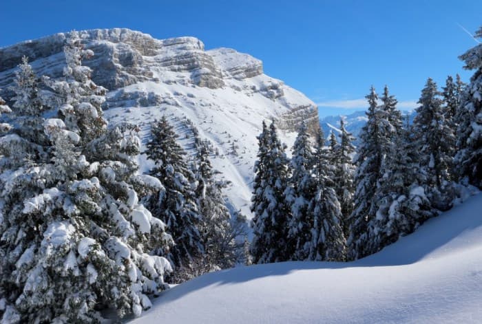 Image d'illustration pour Neige & soleil : des conditions idyliques en montagne