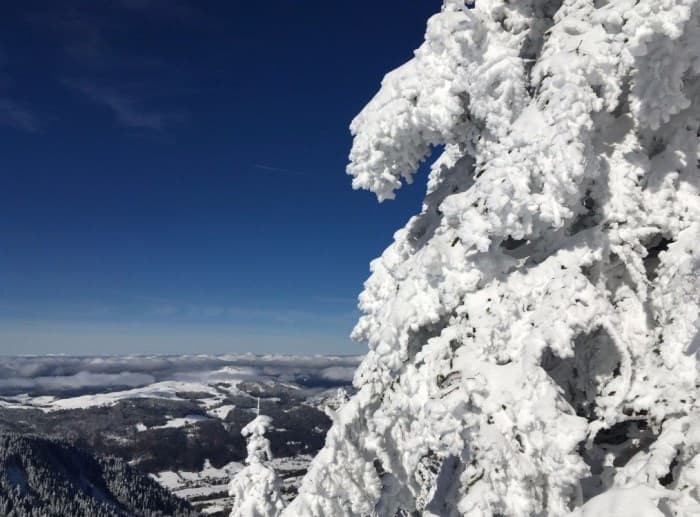Image d'illustration pour Neige & soleil : des conditions idyliques en montagne