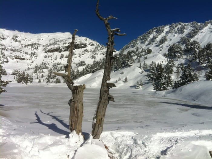 Image d'illustration pour Neige & soleil : des conditions idyliques en montagne