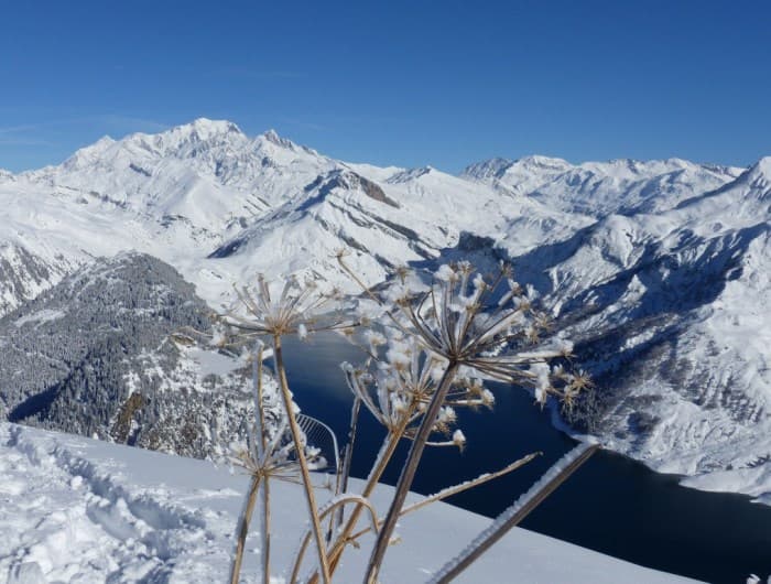 Image d'illustration pour Neige & soleil : des conditions idyliques en montagne