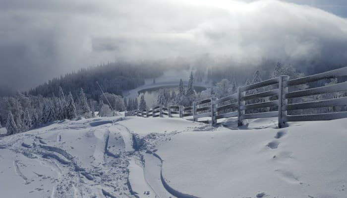 Image d'illustration pour Neige & soleil : des conditions idyliques en montagne
