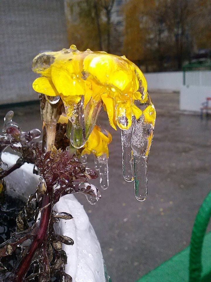 Image d'illustration pour Première neige de la saison à Moscou en Russie