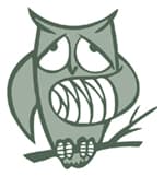 Image d'illustration pour Les oiseaux victimes des violents orages de grêle