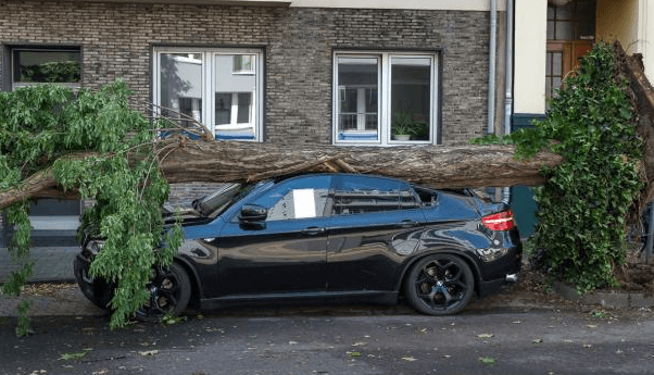 Image d'illustration pour Orages violents et meurtriers en Allemagne