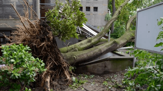 Image d'illustration pour Orages violents et meurtriers en Allemagne