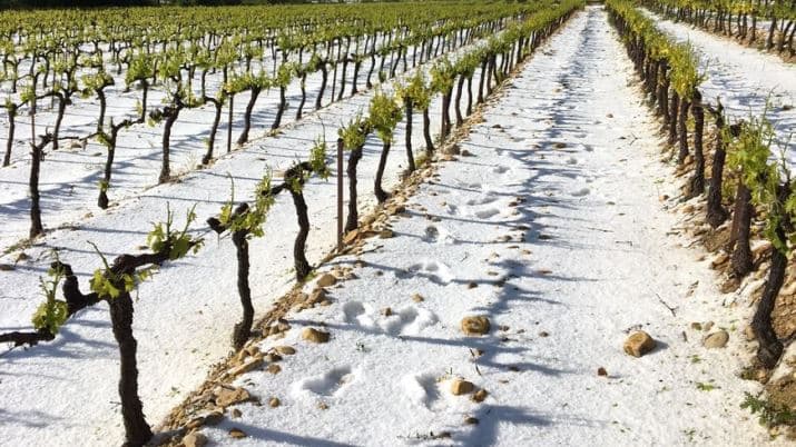 Image d'illustration pour Des orages pour les Saints de Glace