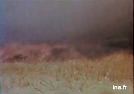 Image d'illustration pour Terribles orages de juillet 1984 en France et en Allemagne