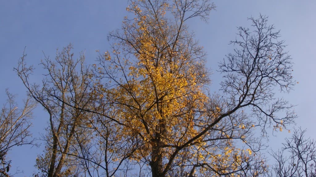 Image d'illustration pour Vos photos météo de la semaine