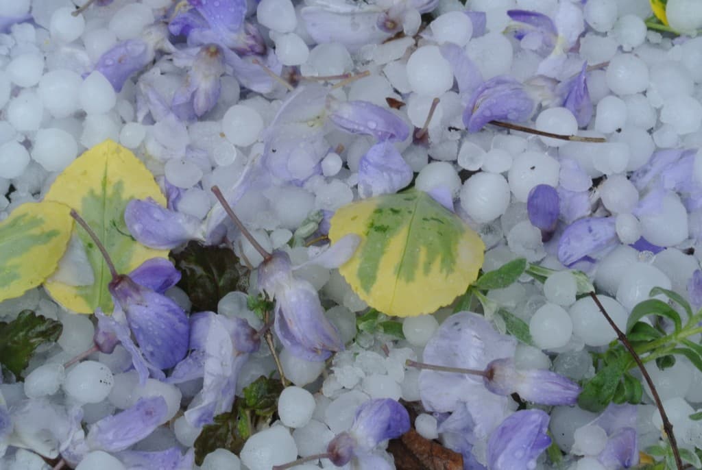 Image d'illustration pour Orage, neige, grésil, grêle, tuba : vos photos du temps instable