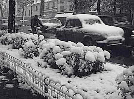 Image d'illustration pour Chronique des débuts novembre froids et neigeux