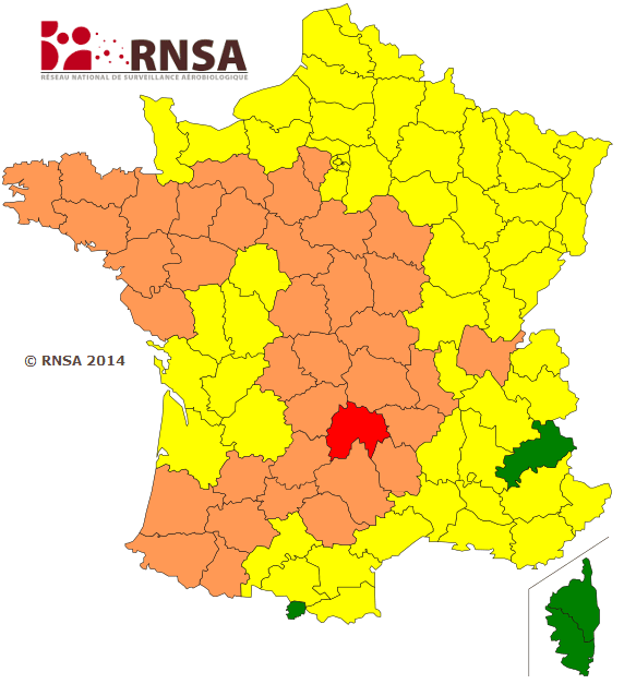 Image d'illustration pour Pollens de graminées : les risques d'allergie demeurent