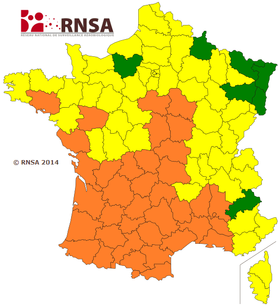Image d'illustration pour Allergies : Vigilance aux pollens de graminées