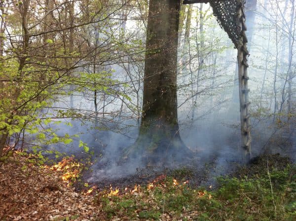 Image d'illustration pour Sécheresse et risque d'incendie au Luxembourg