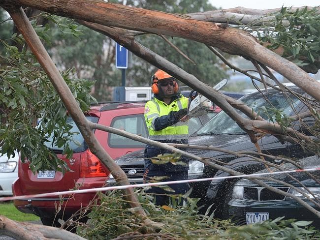 Image d'illustration pour Tempête et fortes chutes de neige sur l'Etats de Victoria en Australie