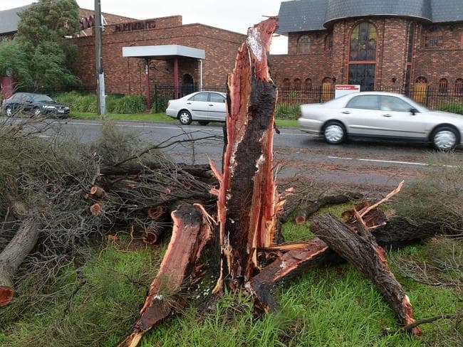 Image d'illustration pour Tempête et fortes chutes de neige sur l'Etats de Victoria en Australie