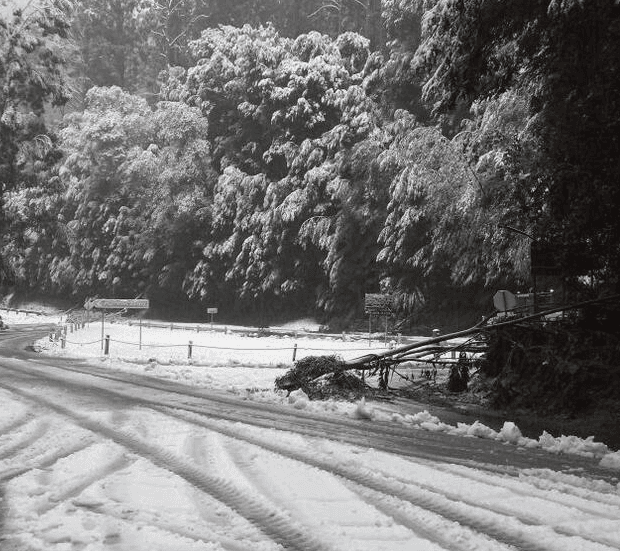 Image d'illustration pour Tempête et fortes chutes de neige sur l'Etats de Victoria en Australie