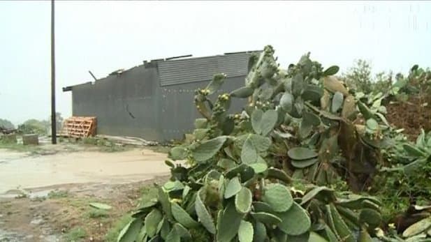 Image d'illustration pour Violent phénomène venteux en Corse à Alistro