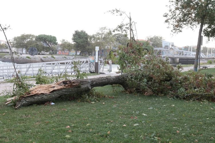 Image d'illustration pour Coup de vent : Bilan du passage de la dépression Hans