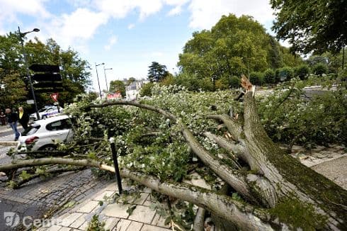 Image d'illustration pour Coup de vent : Bilan du passage de la dépression Hans