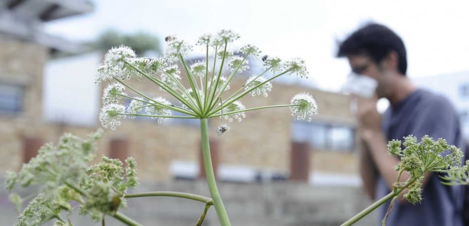 Image d'illustration pour Réchauffement & changement climatique : veille documentaire