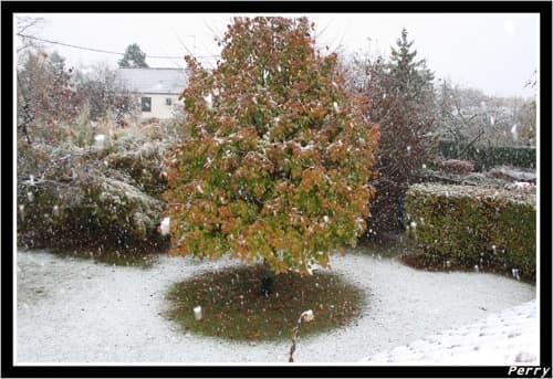 Loiret sous la neige - 30 octobre 2008