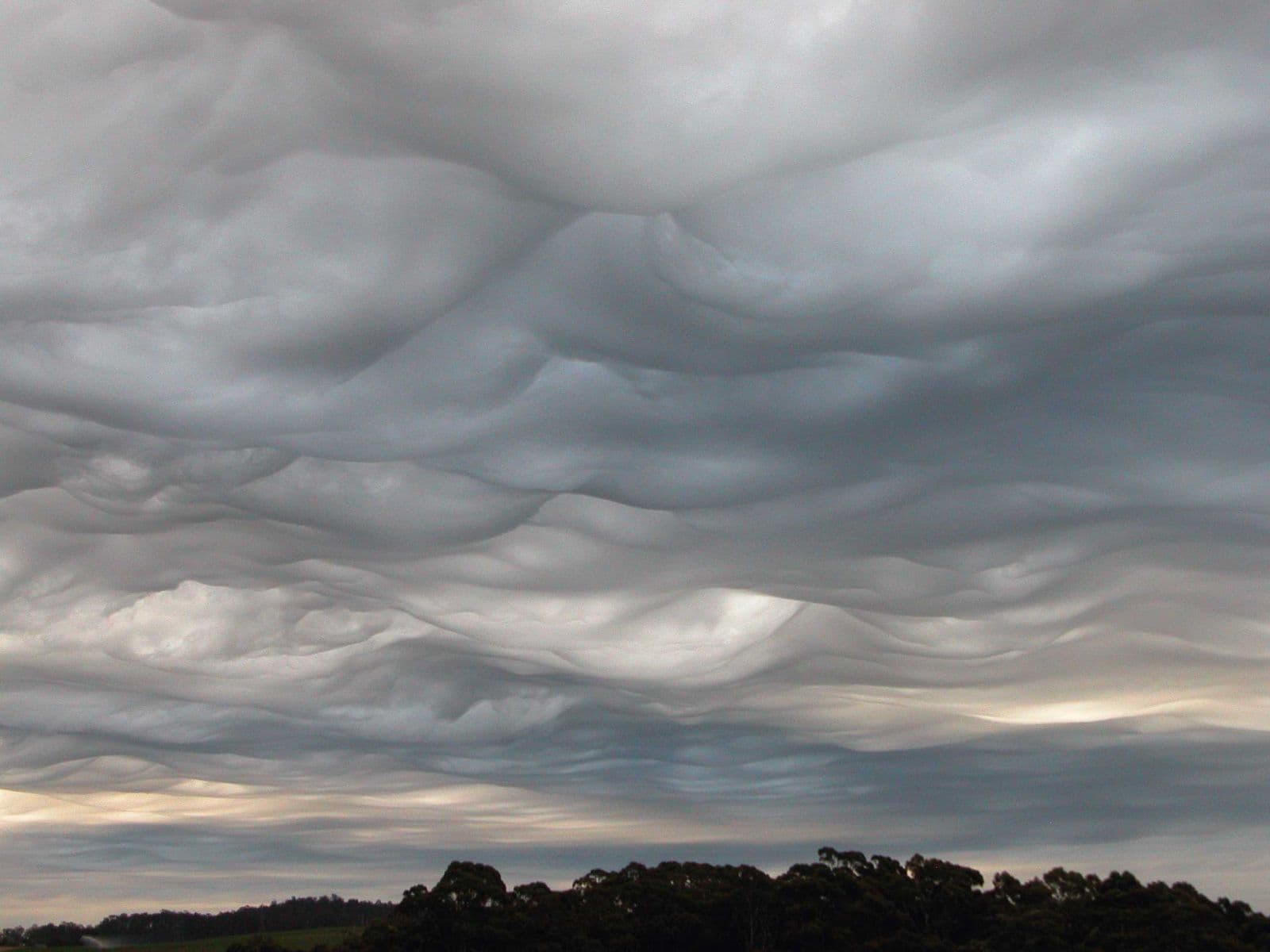 Image d'illustration pour Atlas des nuages : 11 nouveaux nuages homologués