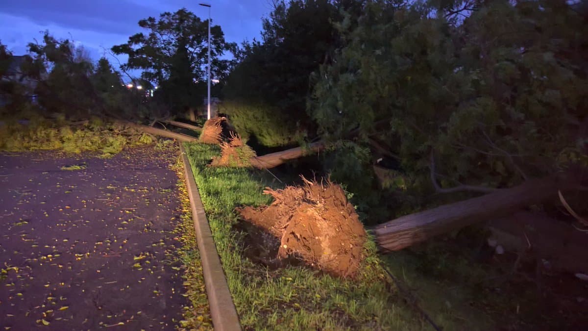 Image d'illustration pour Quels sont les différents types d'épisodes méditerranéens?