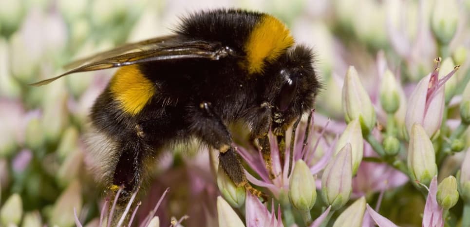 Image d'illustration pour Réchauffement & changement climatique : veille documentaire