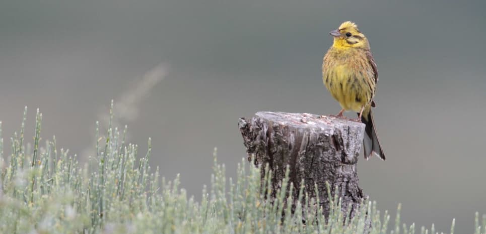 Image d'illustration pour Réchauffement & changement climatique : veille documentaire